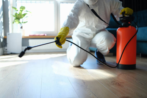 Reliable Hoarding Cleanup contractor in Hilo, HI by Dulley Family Biohazard Services